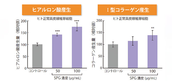 プロテオグリカン薬効効能