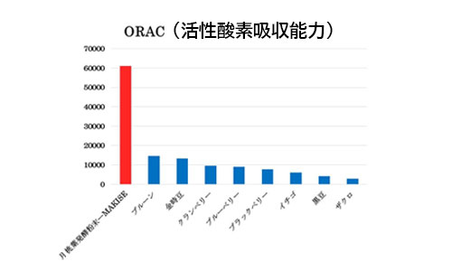 活性酸素吸収力